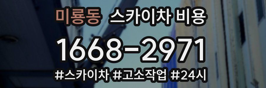 미룡동 스카이차 비용