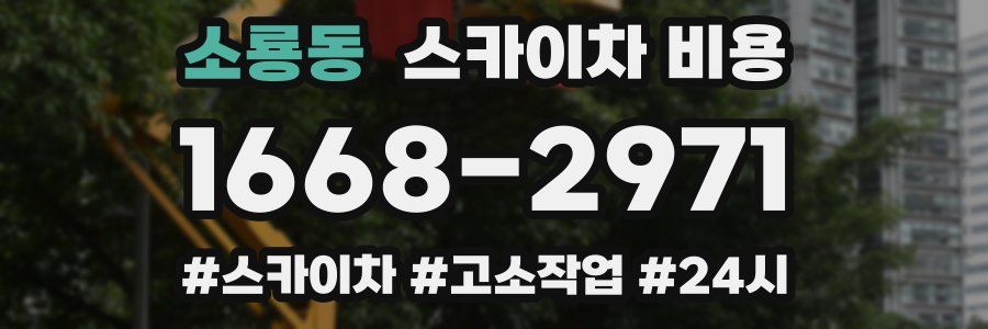 소룡동 스카이차 비용