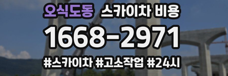 오식도동 스카이차 비용