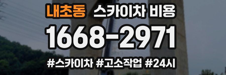 내초동 스카이차 비용