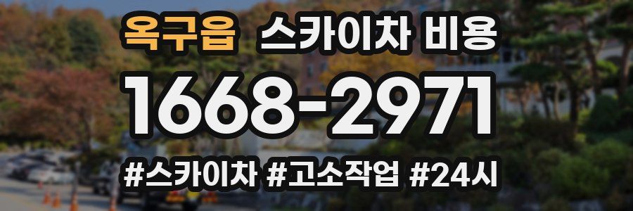 옥구읍 스카이차 비용