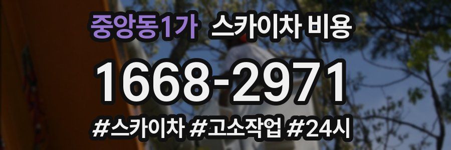 중앙동1가 스카이차 비용