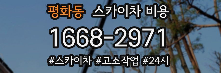 평화동 스카이차 비용