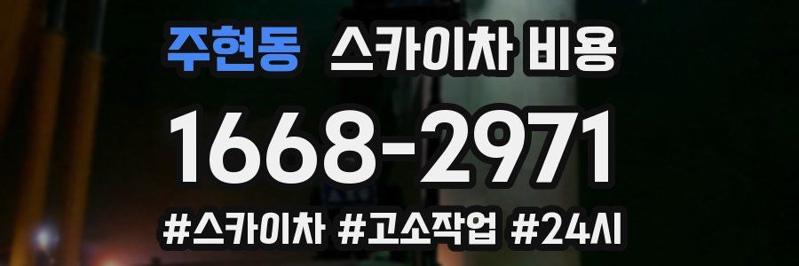 주현동 스카이차 비용