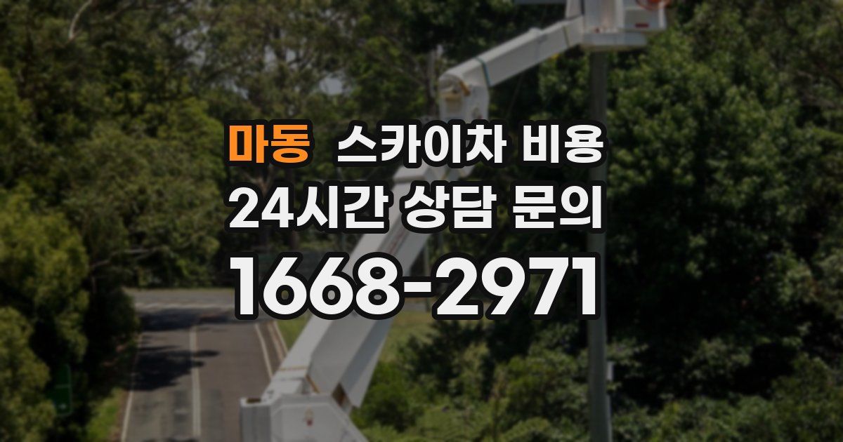 마동 스카이차 비용