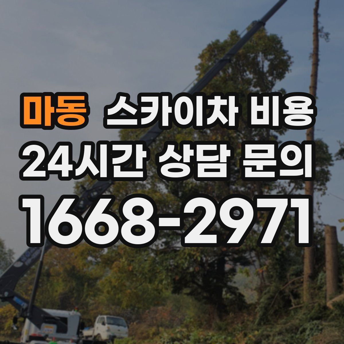 마동 스카이차 비용