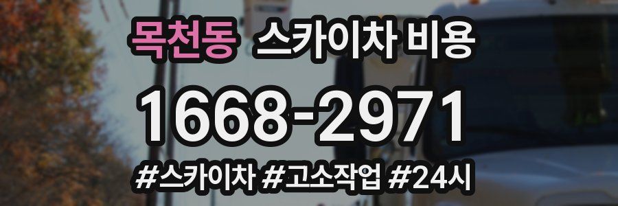 목천동 스카이차 비용