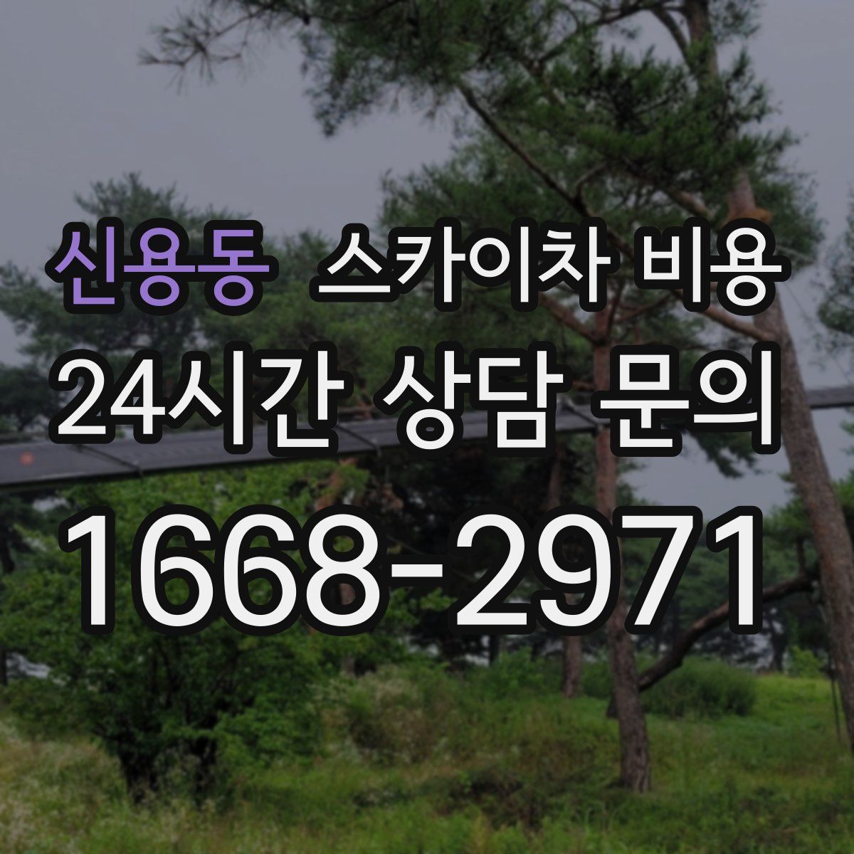 신용동 스카이차 비용