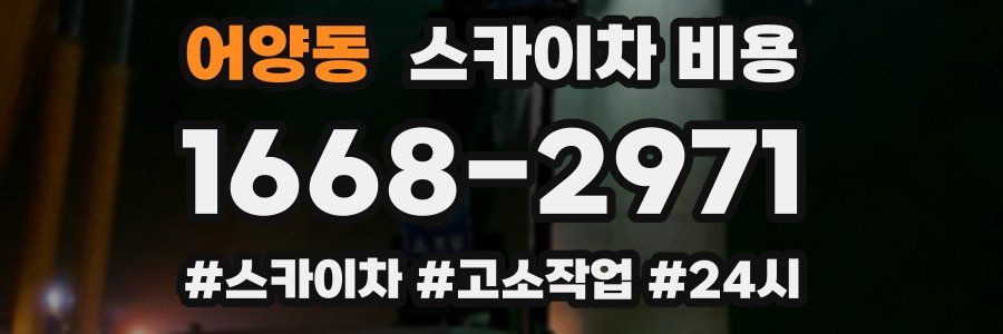 어양동 스카이차 비용