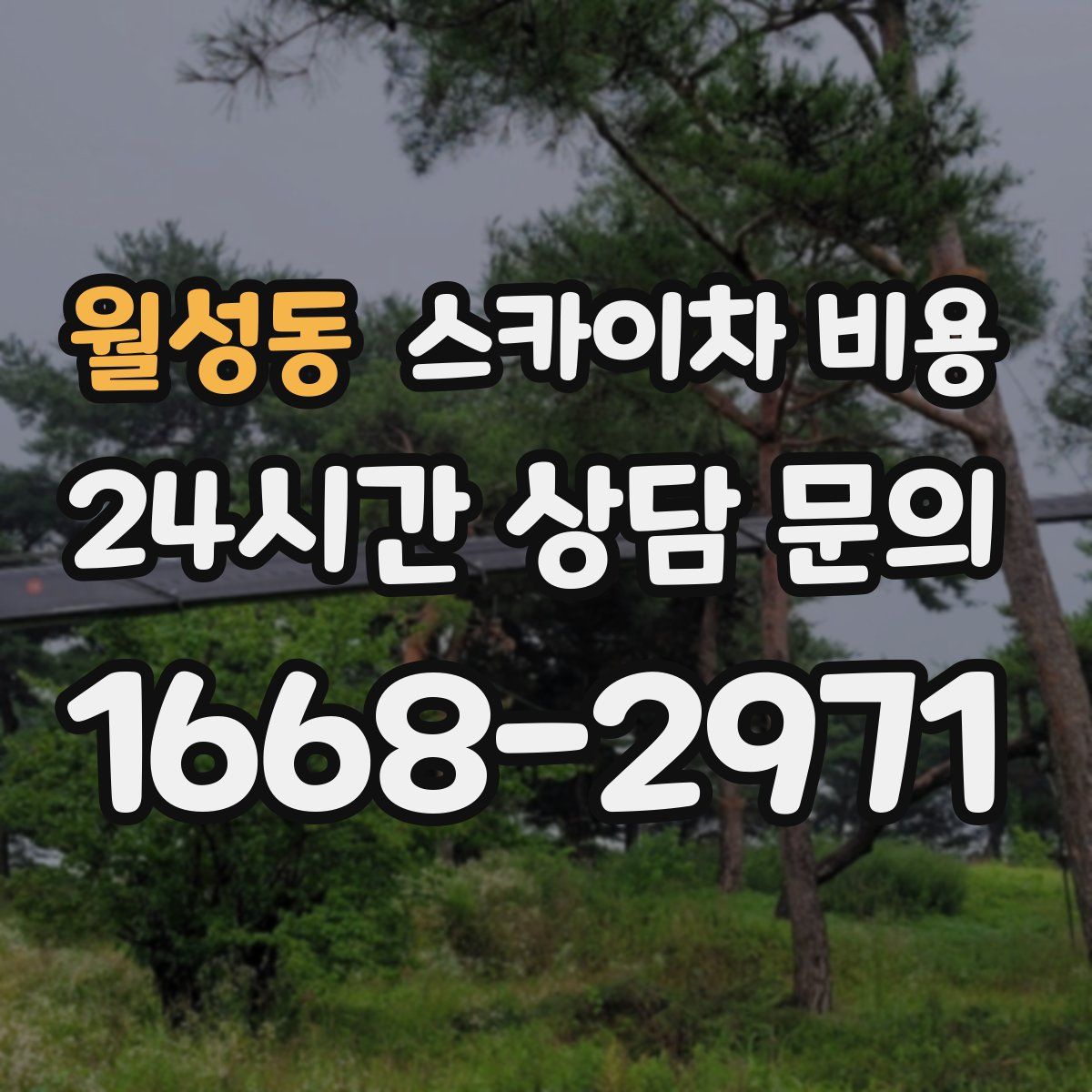 월성동 스카이차 비용