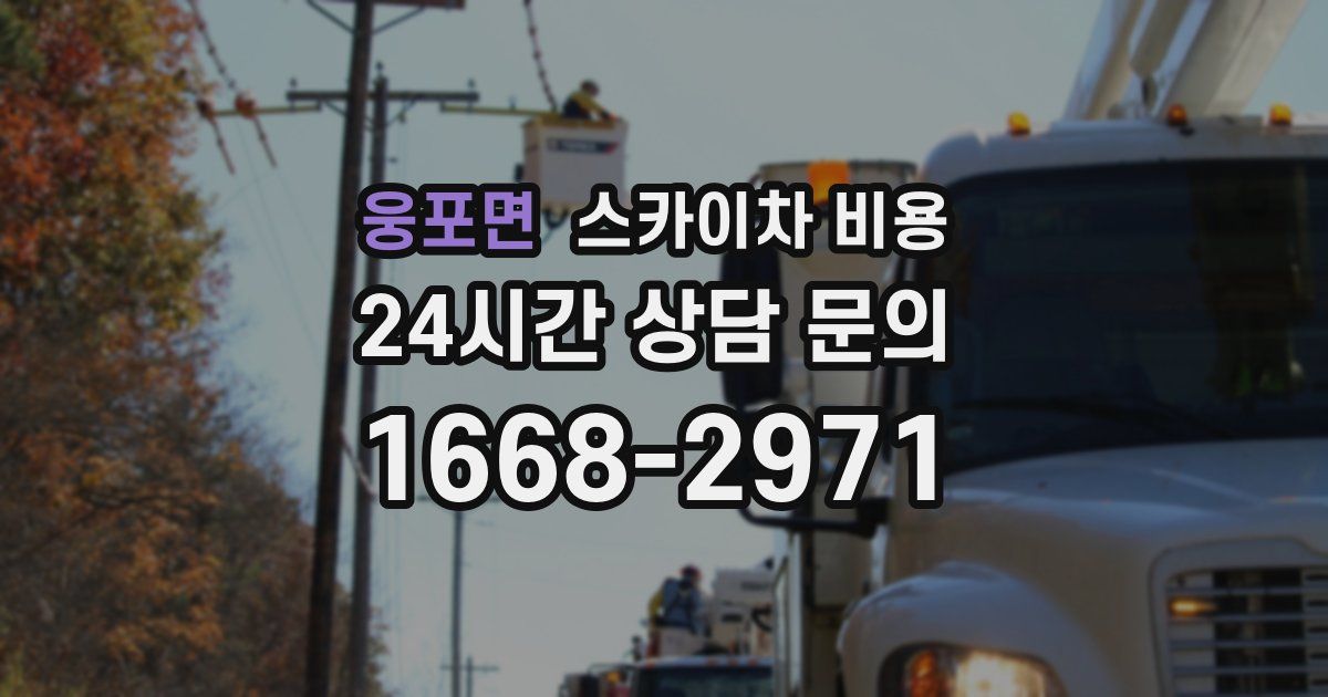 웅포면 스카이차 비용