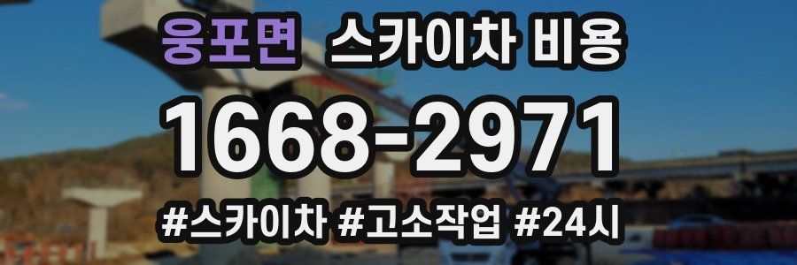 웅포면 스카이차 비용