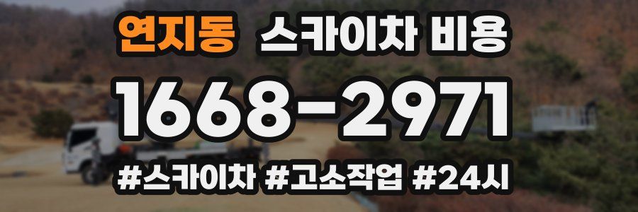 연지동 스카이차 비용