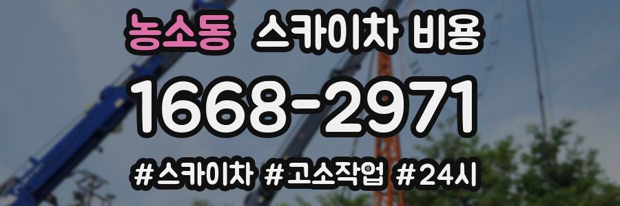 농소동 스카이차 비용