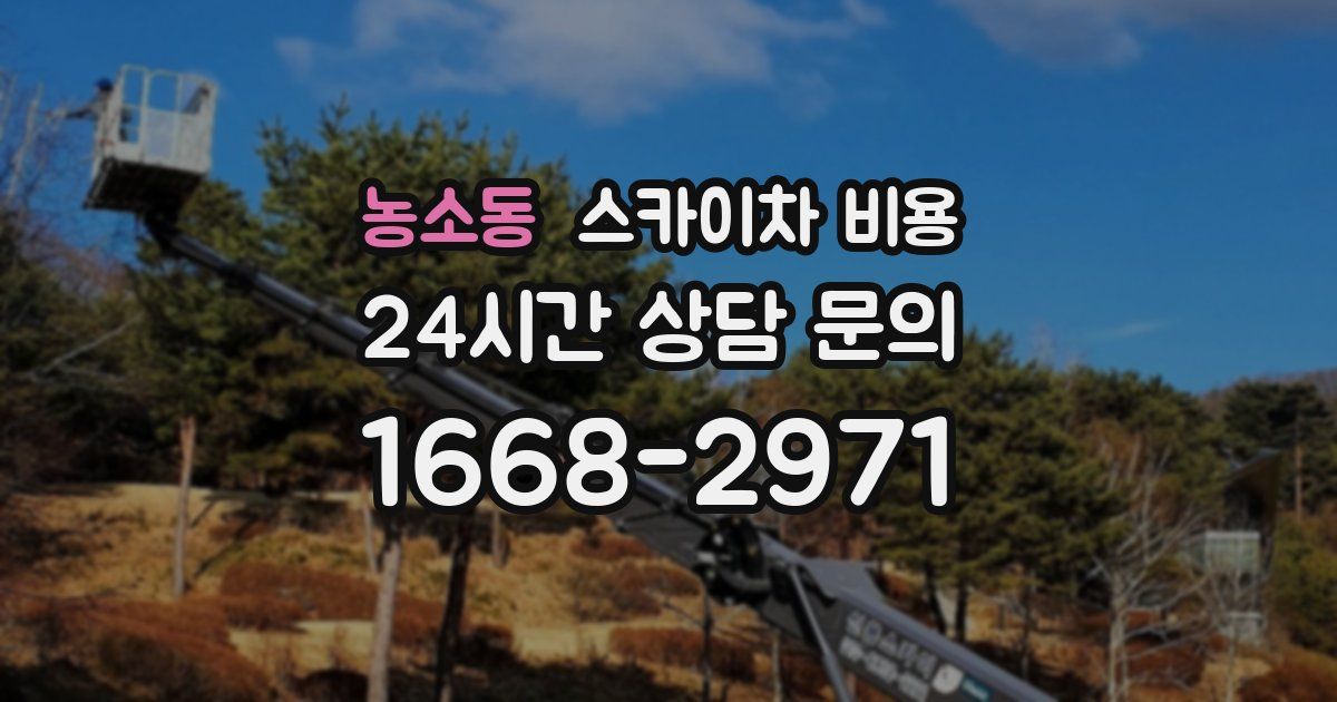 농소동 스카이차 비용