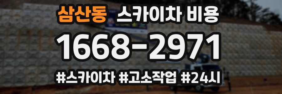 삼산동 스카이차 비용