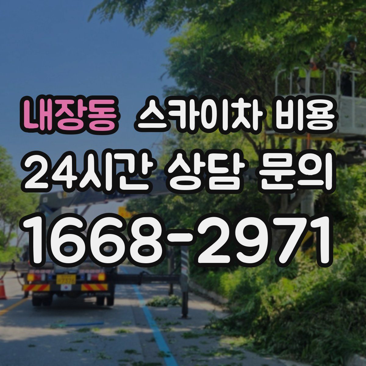 내장동 스카이차 비용