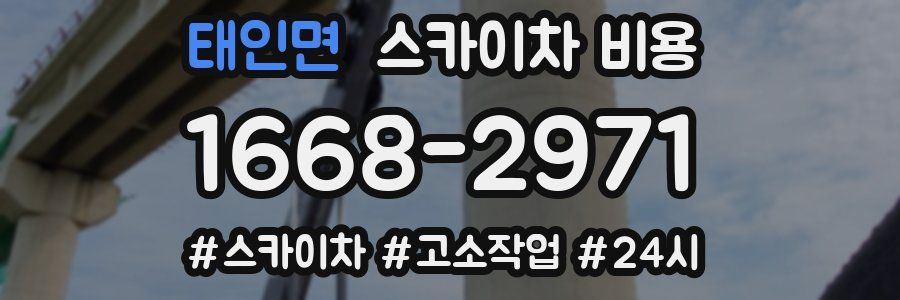 태인면 스카이차 비용