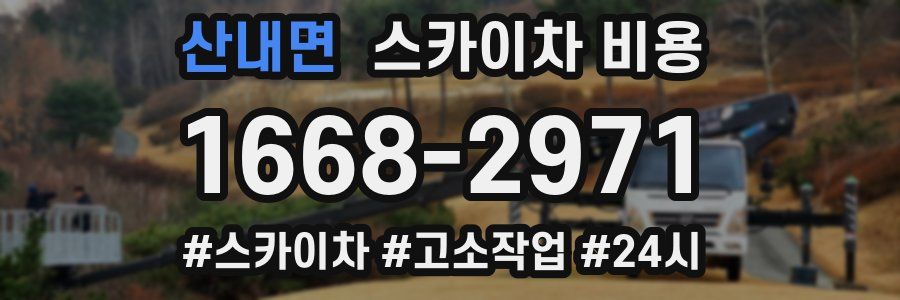 산내면 스카이차 비용