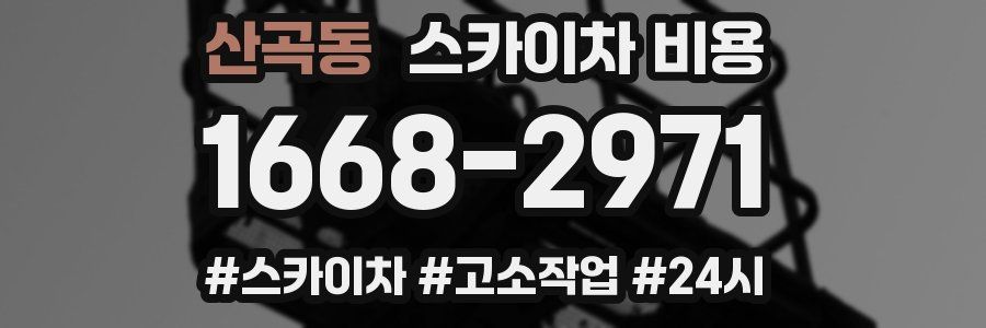 산곡동 스카이차 비용
