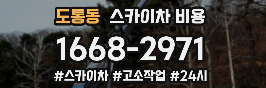 도통동 스카이차 비용