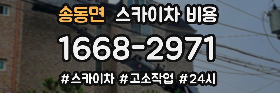 송동면 스카이차 비용