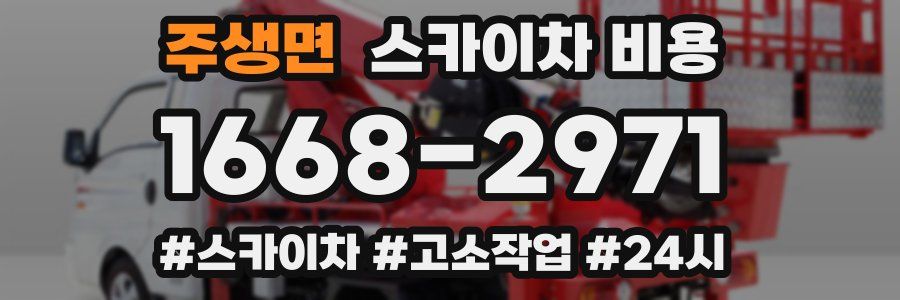 주생면 스카이차 비용