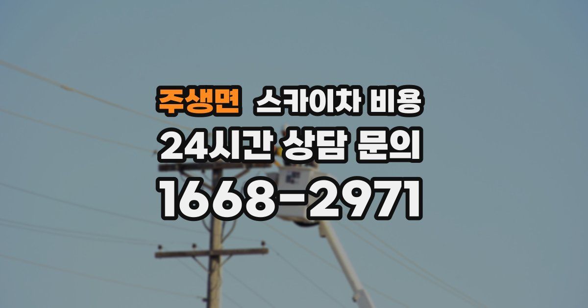 주생면 스카이차 비용