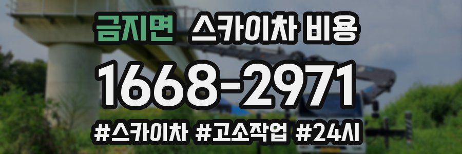 금지면 스카이차 비용