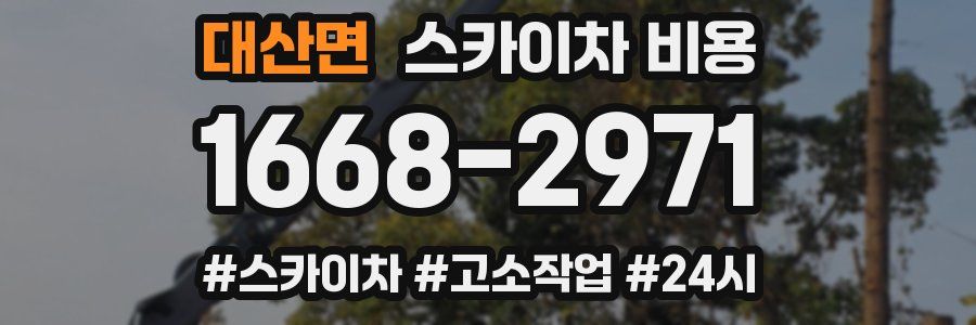 대산면 스카이차 비용