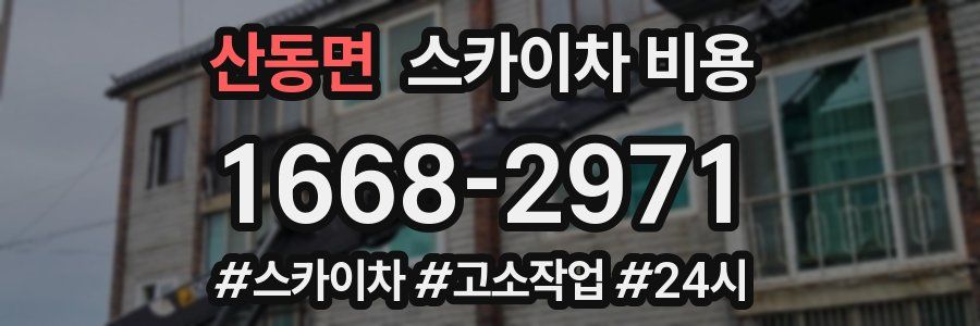 산동면 스카이차 비용