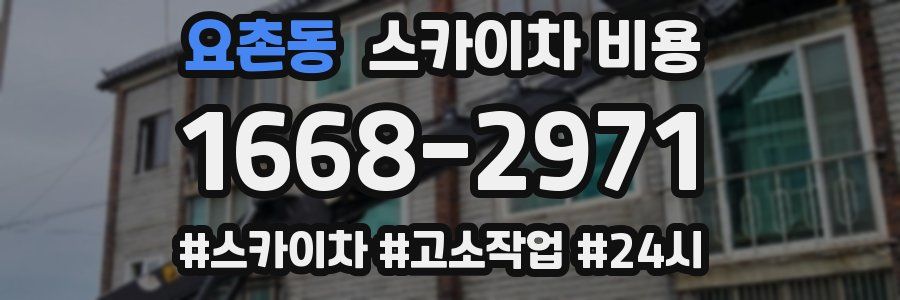 요촌동 스카이차 비용