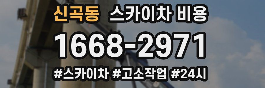 신곡동 스카이차 비용