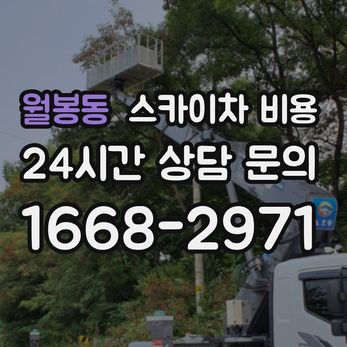 월봉동 스카이차 비용