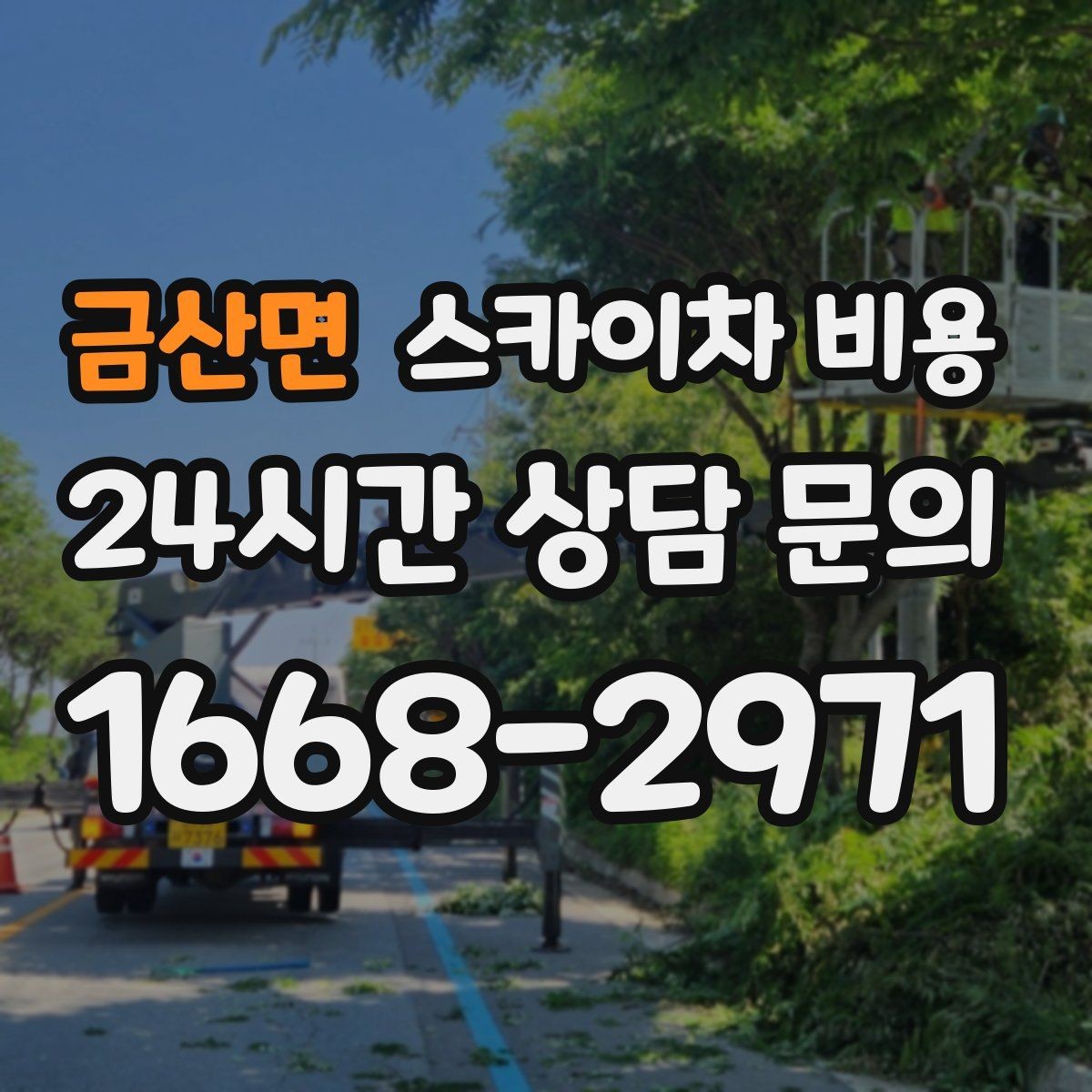 금산면 스카이차 비용 건물 층수 대신 실제 작업 높이를 확인하는 법