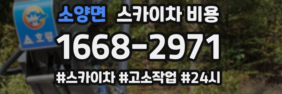 소양면 스카이차 비용