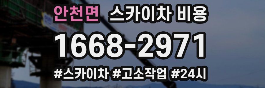 안천면 스카이차 비용