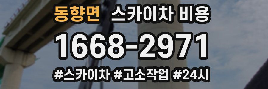 동향면 스카이차 비용