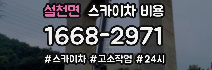 설천면 스카이차 비용