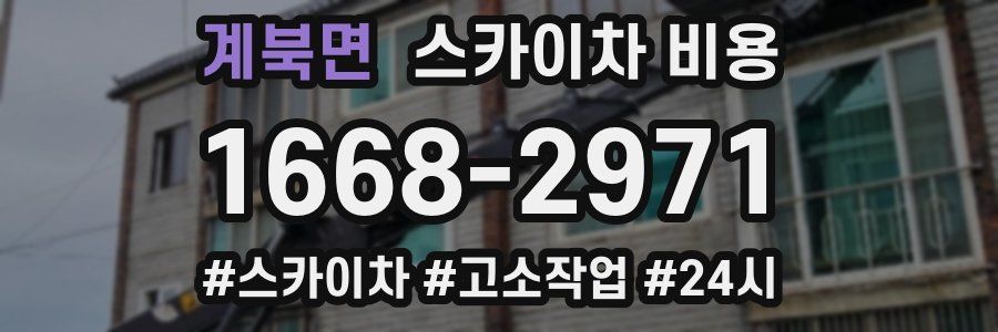 계북면 스카이차 비용