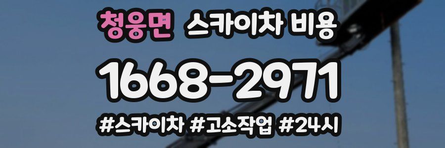 청웅면 스카이차 비용