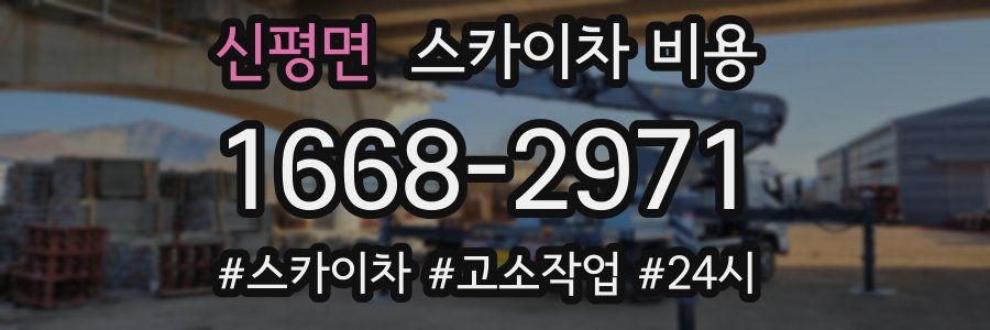 신평면 스카이차 비용