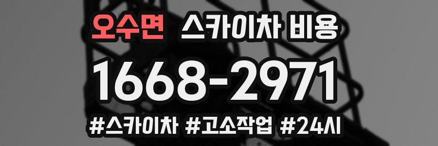 오수면 스카이차 비용