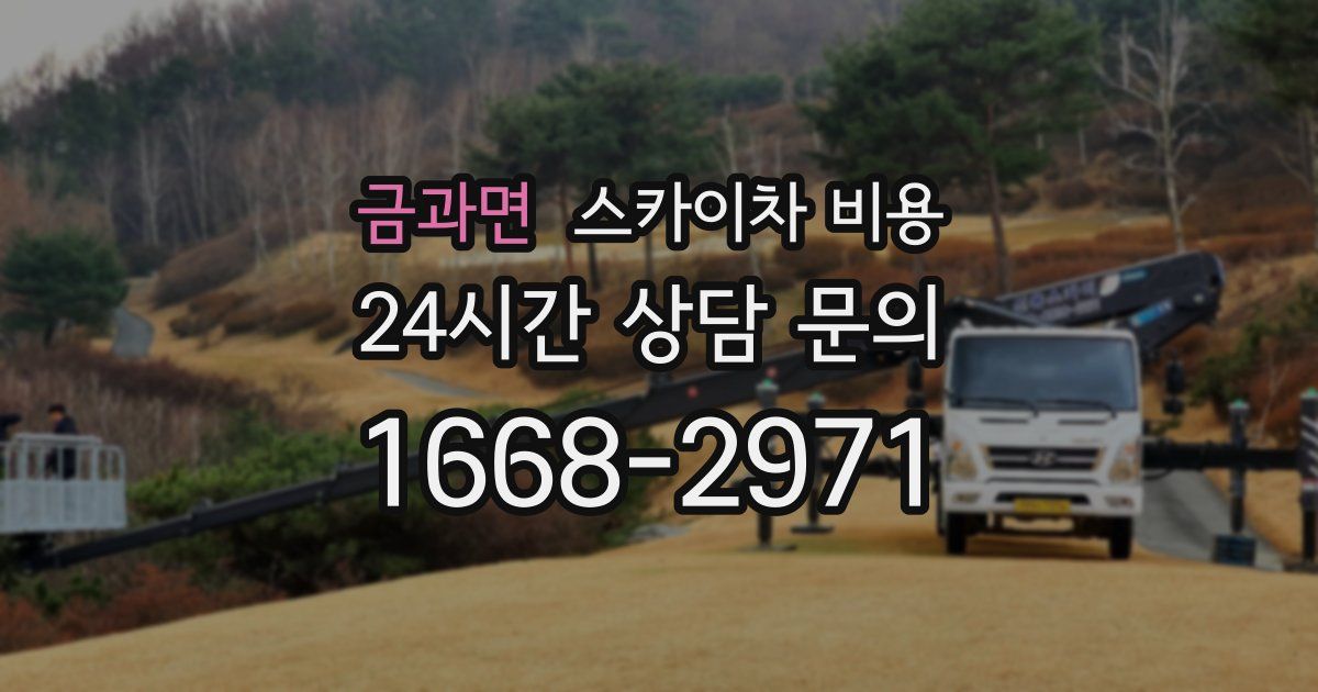 금과면 스카이차 비용