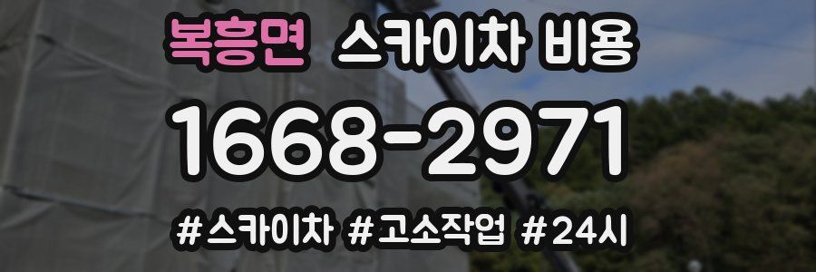 복흥면 스카이차 비용