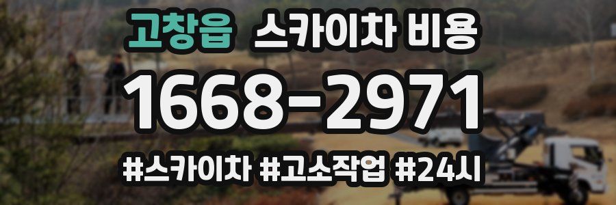 고창읍 스카이차 비용