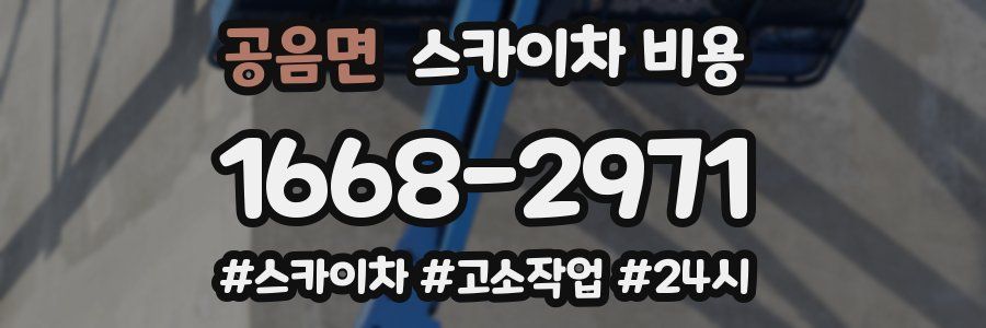 공음면 스카이차 비용