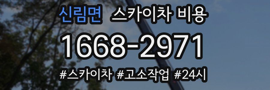 신림면 스카이차 비용