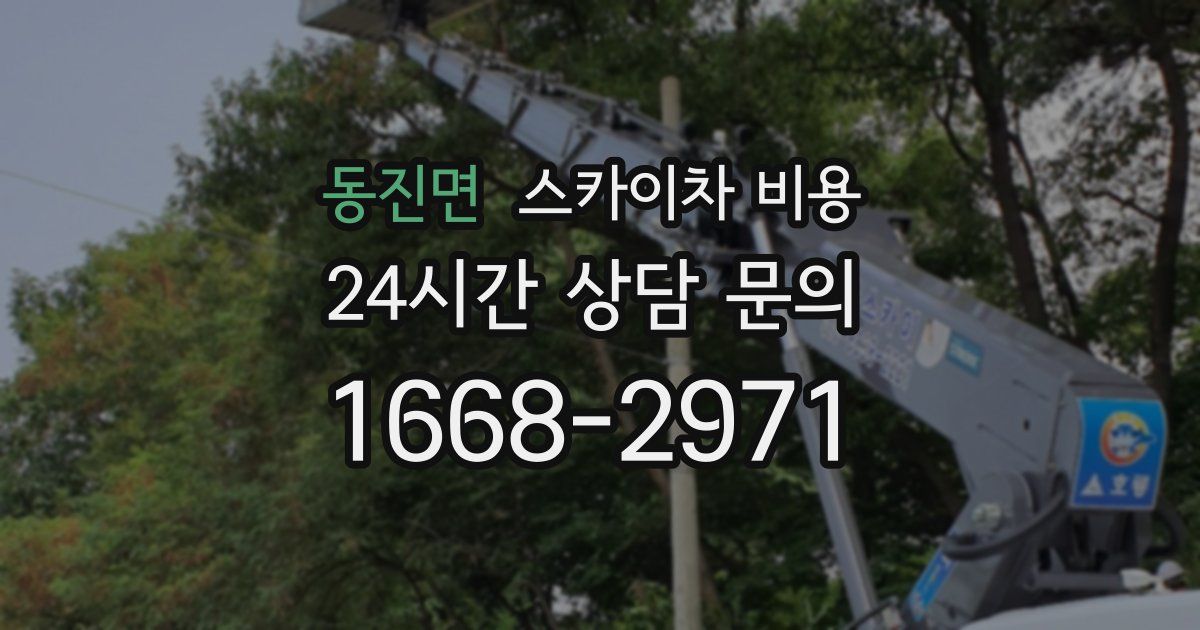 동진면 스카이차 비용