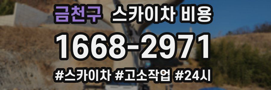 금천구 스카이차 비용